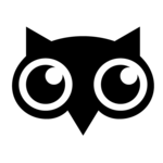 AccessOwl logo