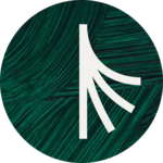 Strand AI logo