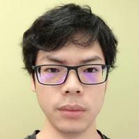 Wenfeng Xia